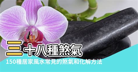 藥罐煞盆栽|[超實用風水]150種居家風水常見的煞氣 和 化解方法－。閒妻VK。